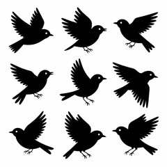 Obraz premium Collection of nine flying bird silhouettes isolated on white background