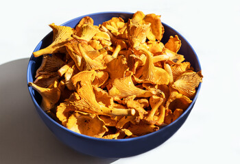 Vibrant orange chanterelle mushrooms are beautifully arranged in blue bowl, showcasing their unique textures and colors, culinary presentations or gourmet recipes, Cantharellus cibarius, girolle