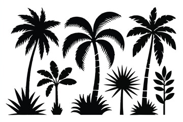 Black Silhouette Palm Trees and Tropical Plants nature