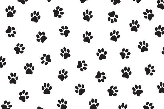 Black paw prints scattered across a white background pattern