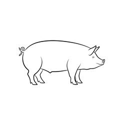 Fototapeta premium Simple line drawing of a pig isolated on white background