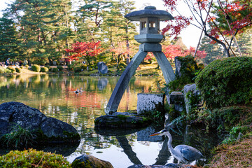 紅葉真っ盛りの金沢　日本三名園のひとつ兼六園