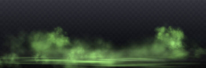 Realistic green smoke or haze, overlay effect on a transparent background. Hot fire and flame, magic fog, vapor on floor. Abstract vector illustration © Elena