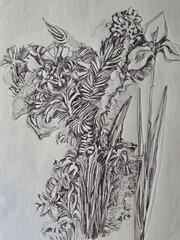 drawing of graphical sketch with flowers and plants