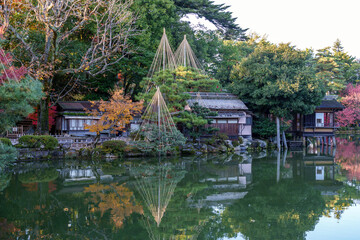 紅葉真っ盛りの金沢　日本三名園のひとつ兼六園