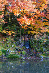 紅葉真っ盛りの金沢　日本三名園のひとつ兼六園