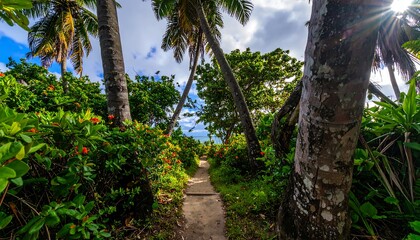 Obraz premium Sunlit path through lush tropical foliage leading to a beach