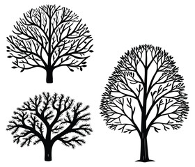 Obraz premium Set of three decorative black tree silhouettes with detailed bare branches and leaves on white background