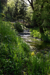 Naklejka premium Beautiful flowing river water falling on a rocky stream covered in green trees in a forest near Girona, Catalonia