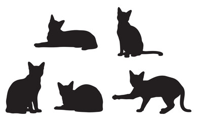 Black Cat Silhouette Set in Various Poses Isolated on White Background for Design and Decoration