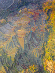 Aerial and top angle view of terraced paddy field before rice planting at Wonyang, Yunnan, China