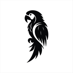 parrot  vector silhouette outline logo design illustration