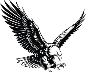 Mighty Bald Eagle in a Dynamic Flight Pose, Wings Spread Wide and Talons Outstretched, Capturing the Power and Freedom of the Predatory Bird in a Bold Black and White Vector.