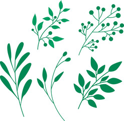 leaf collections 1  Illustration Art