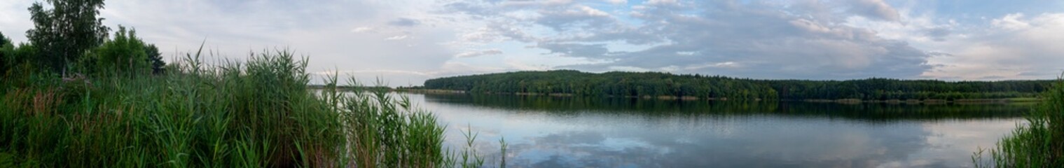 Panoramic view of a lake with lush coastal vegetation on a sunny summer day.