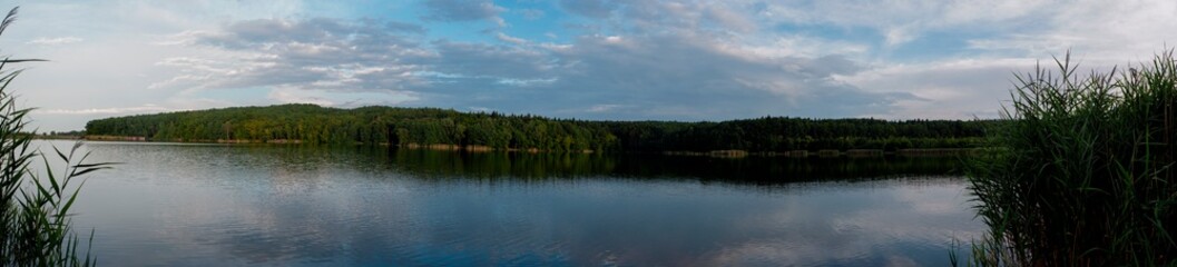 Fototapeta premium Panoramic view of a lake with lush coastal vegetation on a sunny summer day.