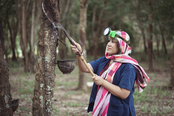 Woman Extracting Natural Rubber from Tree with Traditional Tools in Forested Environment