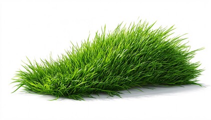 Fresh green grass lawn turf patch isolated on white background landscaping design