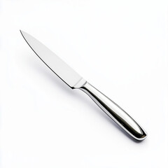 Fototapeta premium a_single_stainless_steel_table_knife