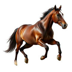 Obraz premium A beautiful brown horse with a flowing mane and tail, captured in midstride, showcasing its powerful muscles and elegant form, isolated on a transparent background