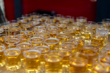 Rows of small plastic cups filled with golden liquid at an event