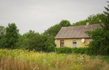 house, home, grass, sky, landscape, building