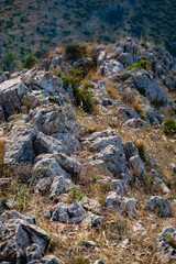 Serene rocky landscape with dry grass and small plants