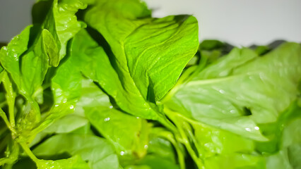 close up image of green spinach vegetable