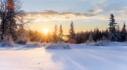 Snow covered winter landscape with sunburst at sunrise in a forest