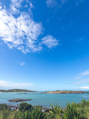 Tropical Coastal Vegetation with Airplane in Blue Sky, Vila Velha, Brazil