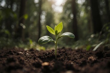 Closeup Seedling Sprout Emerging Sunlight Forest Background ai generated
