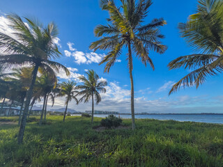 Palm Trees and Coastal View at Camburi Beach, Vit&oacute;ria, Brazil