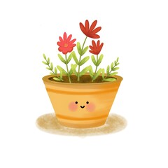 the flowers on the pot