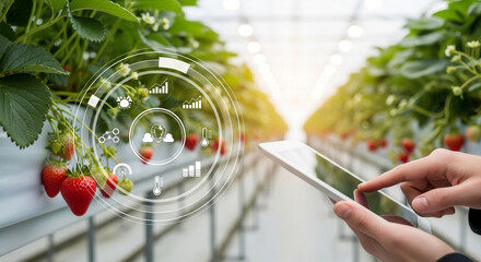A farmer uses a tablet with data overlays to manage a smart strawberry farm a perfect image of modern agriculture technology and innovative food production methods