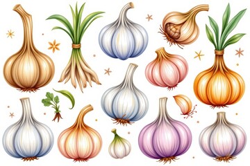 collection watercolor style isolated on white background clipart include at least 10 isolated garlic bulbs themed elements and leave a 10% margin clear around the sheet to avoid cropping