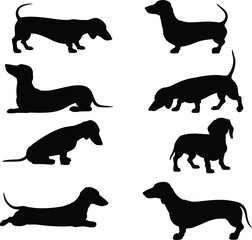 Dachshund dog silhouettes, black dog shapes, different poses, pet animals, canine outlines, small dog breed, dachshund collection