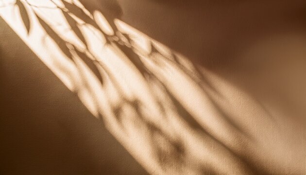 abstract sunlight shadows background with flare and glare top view natural abstract aesthetic mockup with caustic effects for design and presentation