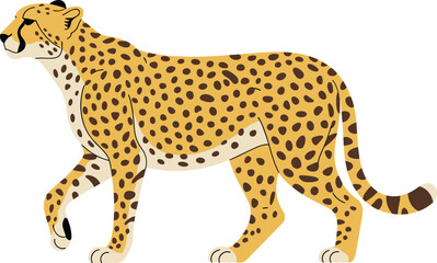 Illustration of a walking cheetah, wild animal vector, African wildlife art, fast predator concept, spotted big cat graphic design