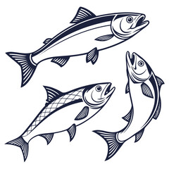 High-quality vector set of small baitfish silhouettes, perfect for lure product design, fishing catalogs, and sport fishing blogs.