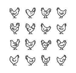 farm chicken icon on white background