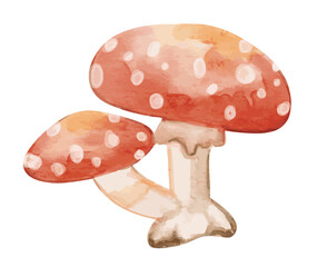 Red Cap Watercolor Mushroom. Wild Mushroom vector element suitable for creative design.