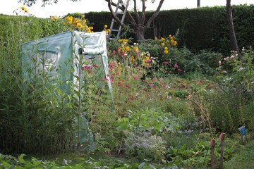 potager d'&eacute;t&eacute;