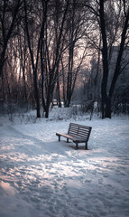 Naklejka premium Serene winter landscape featuring a solitary bench in a snow covered park offering tranquility and contemplation amidst frosted trees in a peaceful urban oasis reflecting