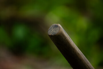 Macro photo of the end of a wooden stick on a blurry green background. Concept of nature and rustic