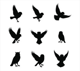 Obraz premium Screech Owl Silhouette Vector Graphic Bundle