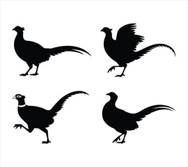 Ring-Necked Pheasant Hunting Silhouette