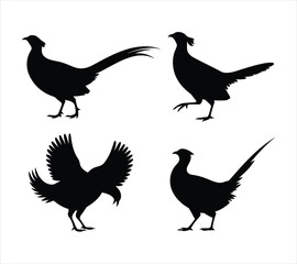 Fototapeta premium Vector Pheasant Silhouette Graphic Set