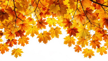  the golden orange brown colour of maple tree leave isolated on white background PNG , AI GENERATED 