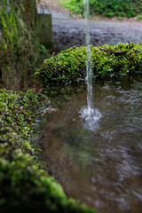 苔の生えた岩に落ちる水