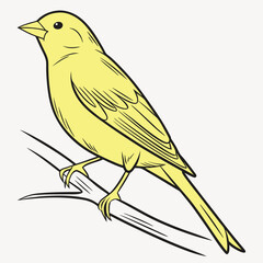 Beautiful Bird Vector Illustration in Minimal Art Style